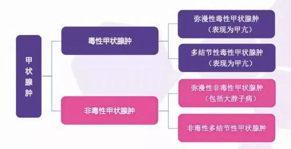 陈定宇主任说,"大脖子病" 是一种特指的疾病,即地方性甲状腺肿, 其