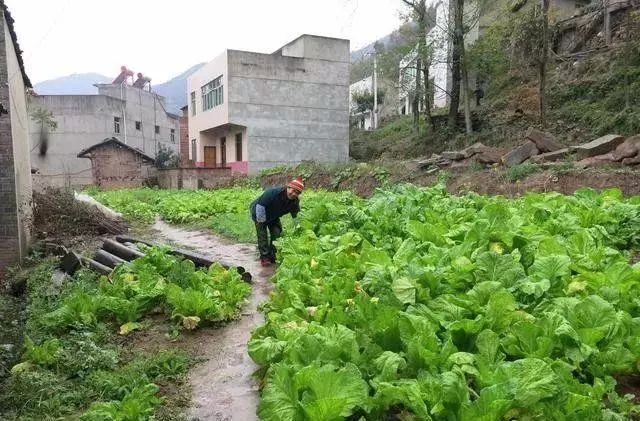 拥城村人口_东汇城超市人口图片(2)