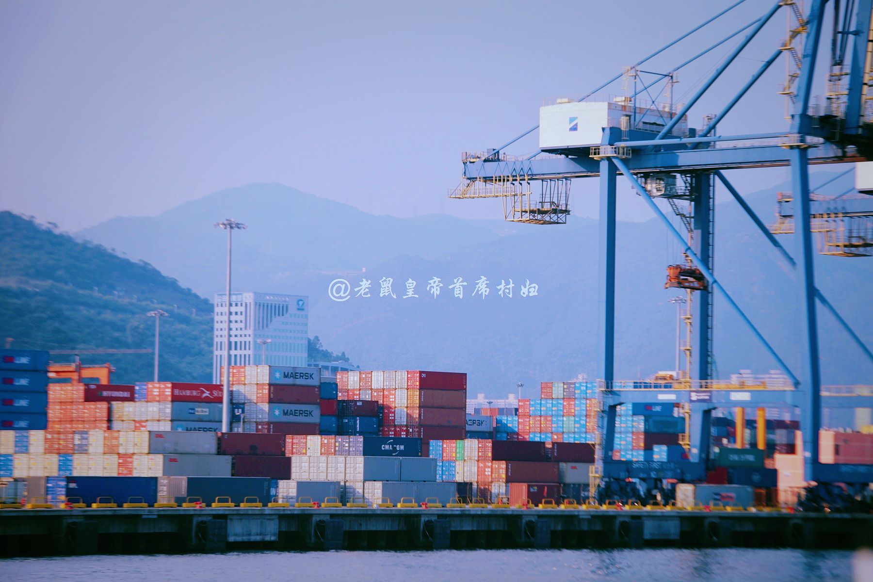 外来人口注入_薛之谦天外来物图片(3)