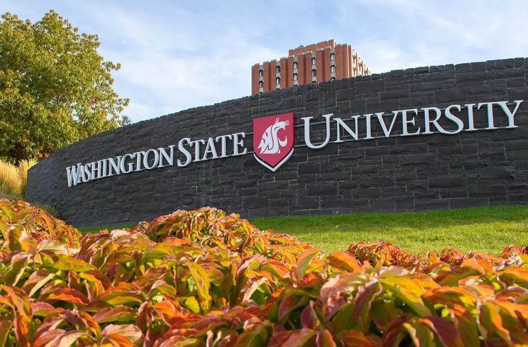 华盛顿州立大学(washington state university,普尔曼)22019~2020学年