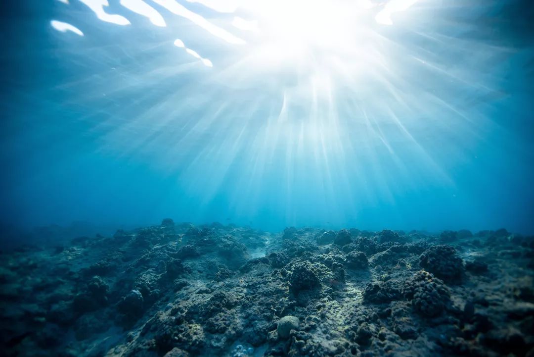 展商推介375mood03只卖海鲜深海馈赠美味极享