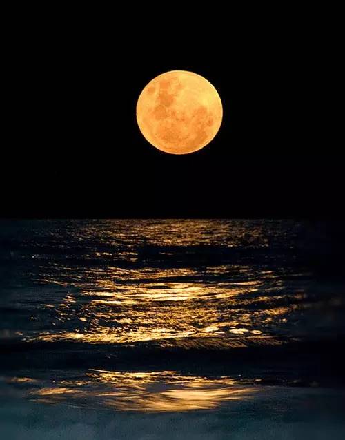 每逢农历初一,当月亮运行到地球和太阳之间时,月亮被太阳照亮的半面