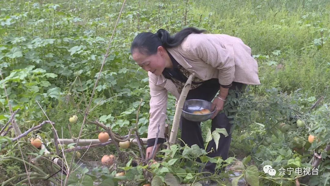 脱贫光荣会宁农民蒋晓霞脱贫不等不靠致富不忘乡邻