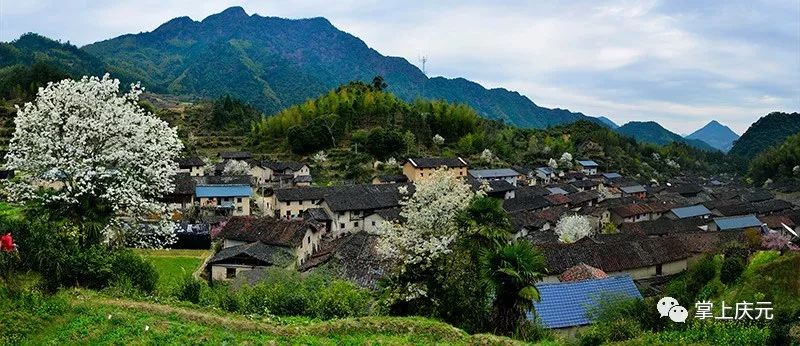 贤良镇位于庆元县东部,据县城40公里,下辖贤良,湖源,石川,黄淤,溪林