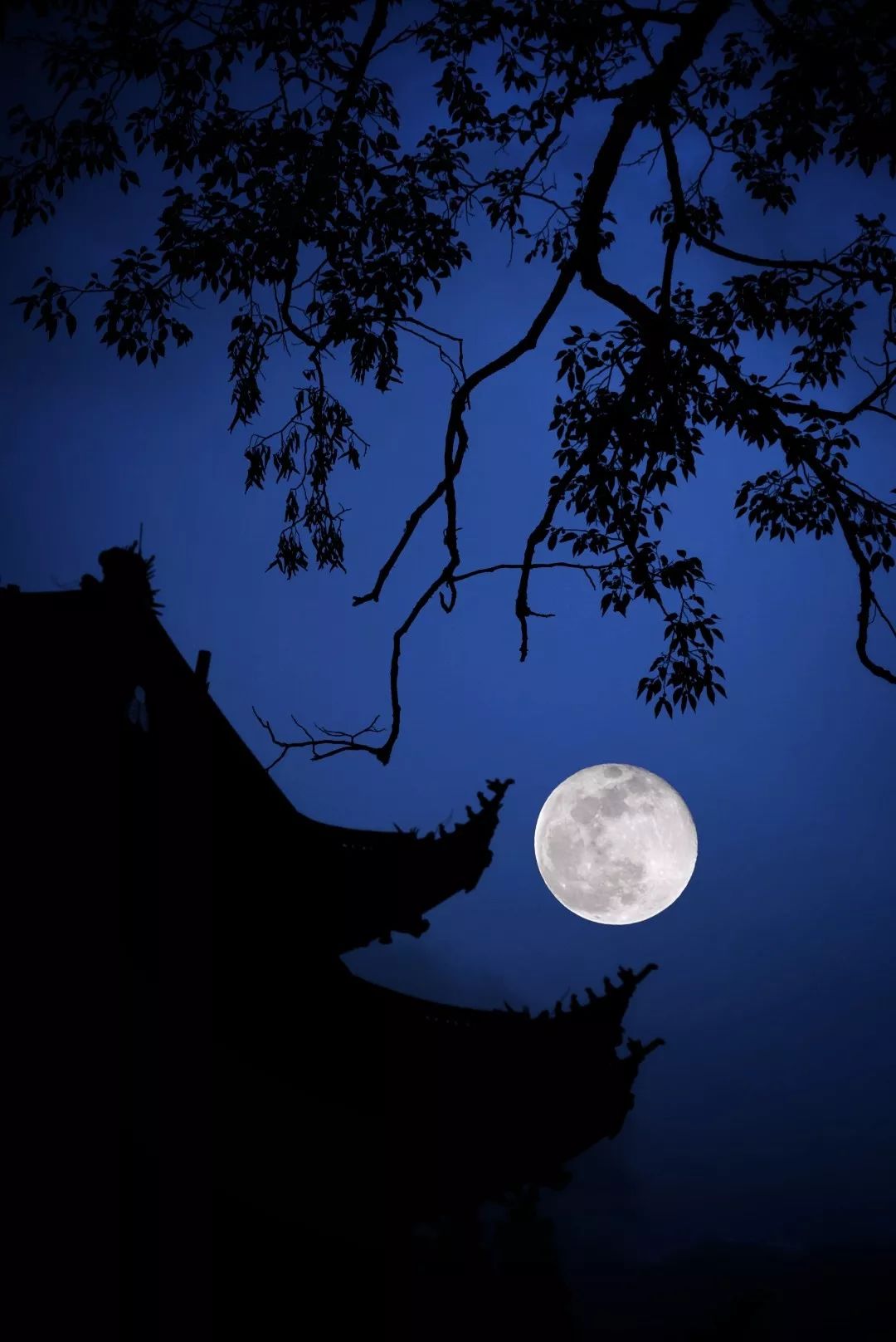 意境大片| 天台山高明寺的中秋月亮,那么空,那么净!