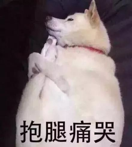 练腿怎么办