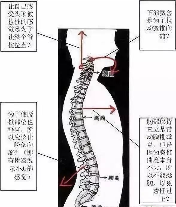 腰突人口_人口普查(3)