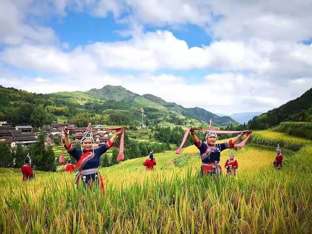 厉害了景宁这道美食亮相央视畲乡小吃香飘全国