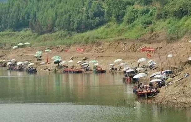什么时间钓鱼钓岸边 4de8b050432947deb2d4bdf12a730eba.jpeg