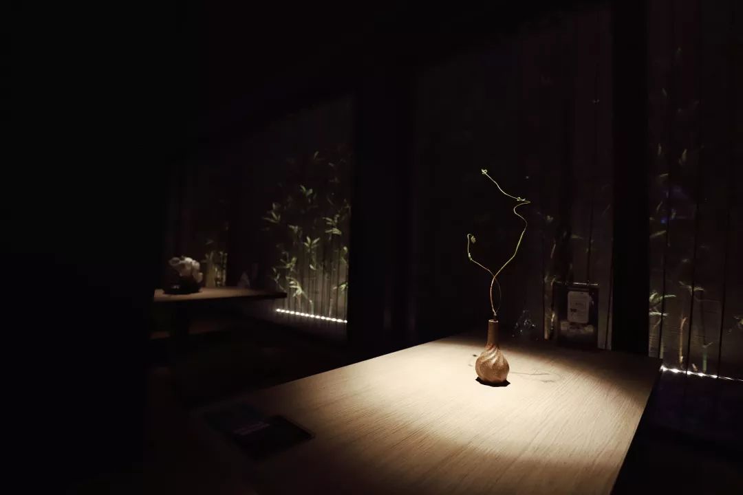 荔湾一家西关风情的民宿里卖着年轻人喜欢的茶和酒
