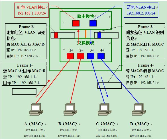 vlan的原理是什么_白带是什么图片(3)