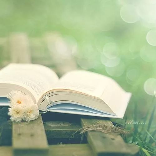 未来的你一定会感谢现在努力的你 835145d78a4e485f9e7beceb4a2477d2.jpeg