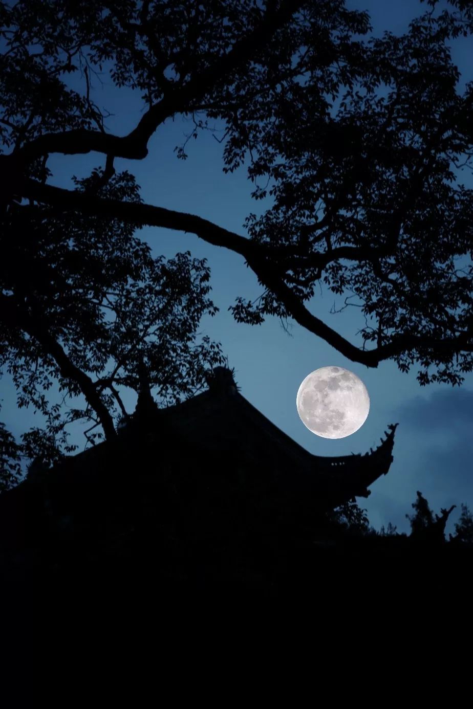 意境大片天台山高明寺的中秋月亮那么空那么净