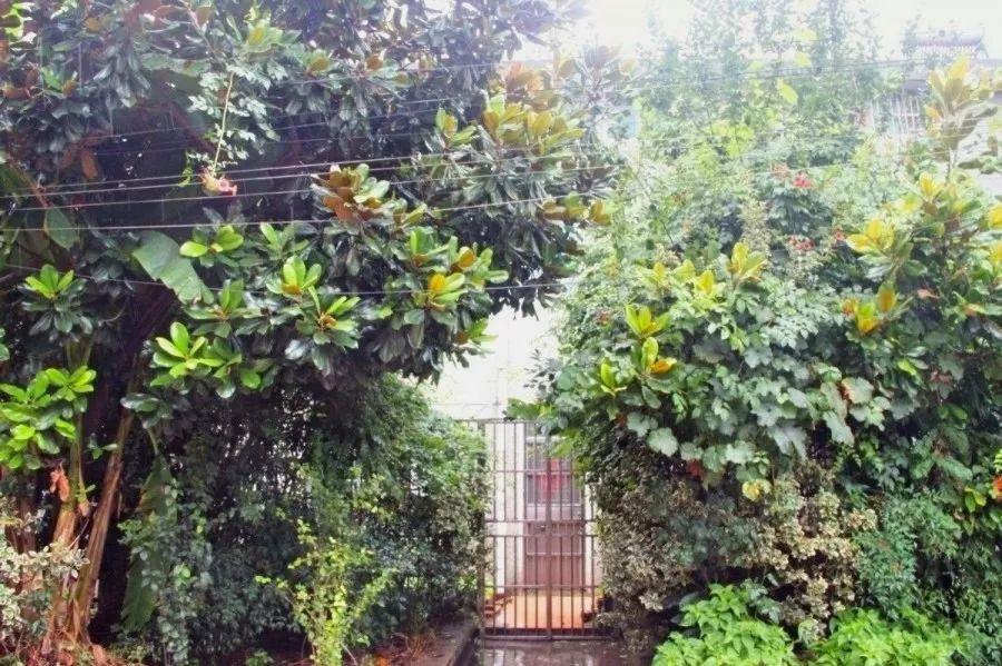 丽华村人口_熊岳丽华村位置图