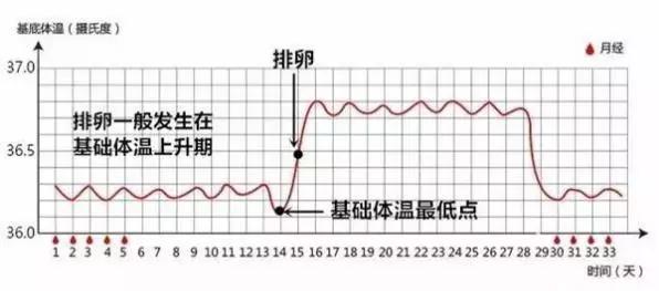 世界人均体温_正常体温图片