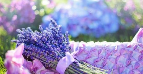 在985大学读差专业是什么体验?总结得太精辟