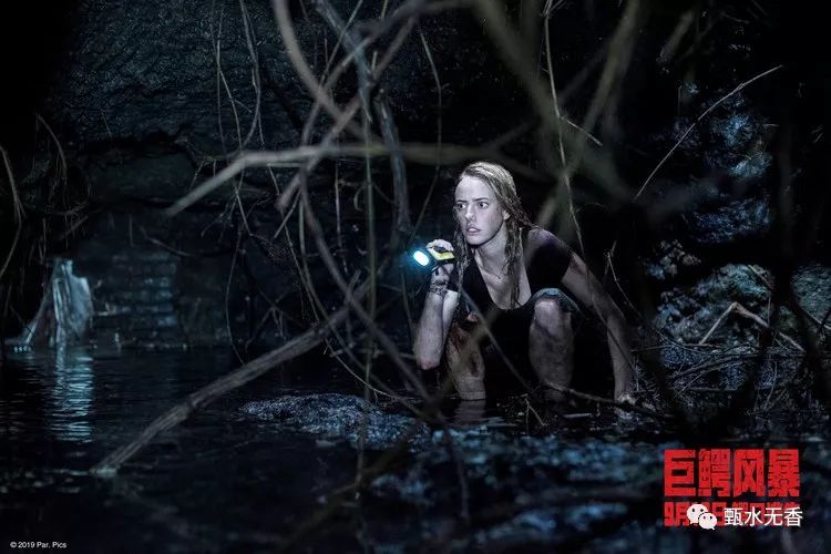 r级惊悚黑马片,当心鳄鱼 胆小勿入 !