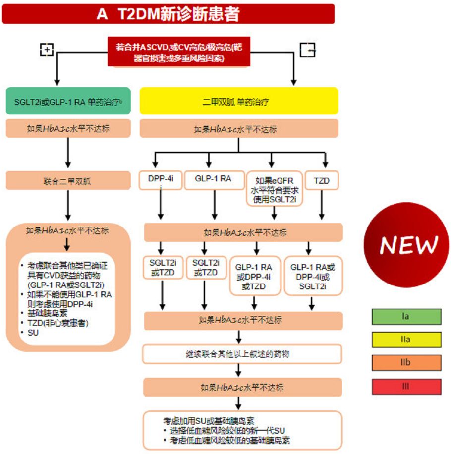 糖尿病患者:首选二甲双胍,还是恩格列净～?