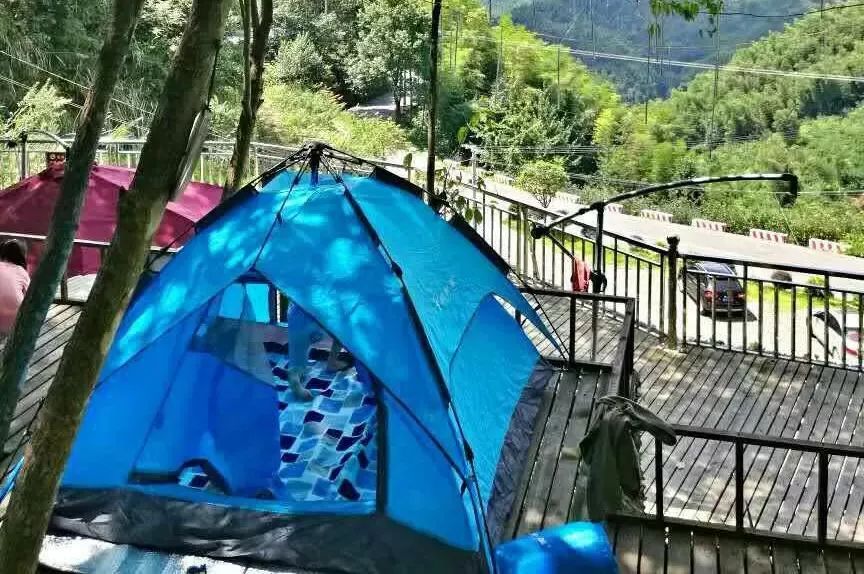 蝉鸣曲简谱_盛夏与蝉鸣简谱