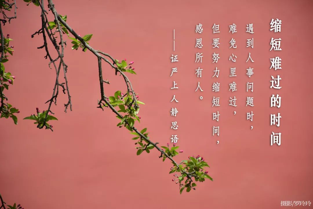 静思语 | 缩短难过的时间