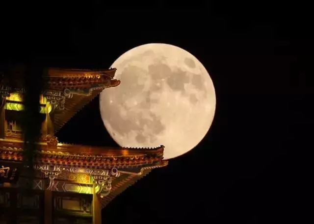 英语美文朗读《明月几时有》,别样意境!美哭了