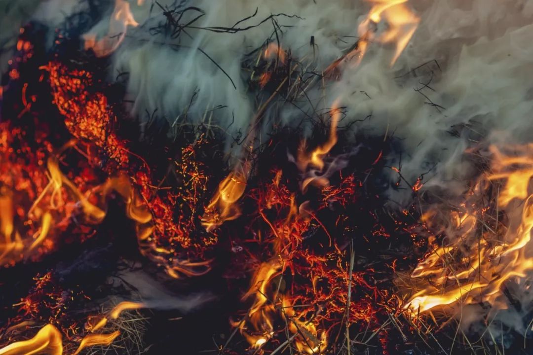 澳洲"地狱级"山火失控! 80起火灾, 数千人无家可归, 消防员逆行而上!