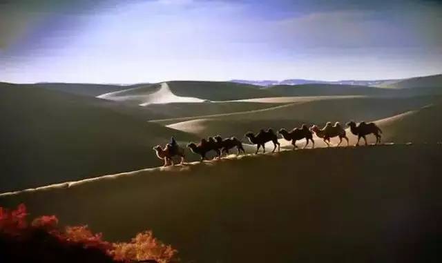 天边的骆驼简谱蒋大为_蒋大为牡丹之歌简谱