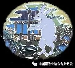 中秋描写月兔