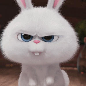 湾区有很多精彩的活动,希望小伙伴们可以忘却乡愁,度过一个开心的周末