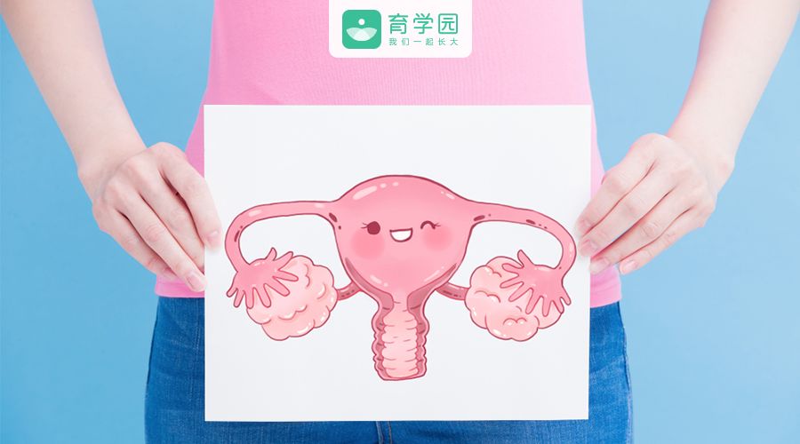 什么情况会导致输卵管有问题 f78196b3a02b475490024ba8280a271e.jpeg