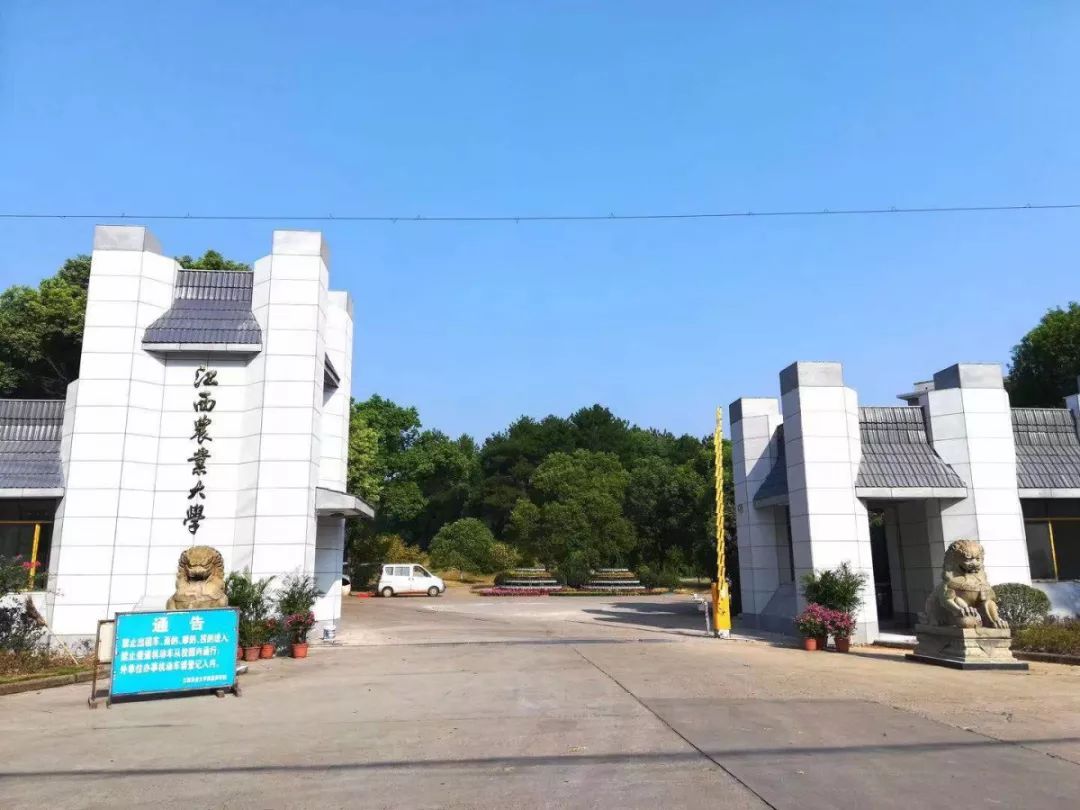 (图为东区东大门,位于庐山中大道888号)