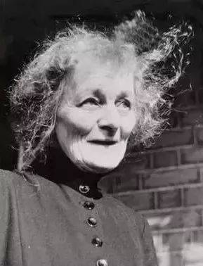 叶芝:这个写出当你老了的情种,却甘愿做了一