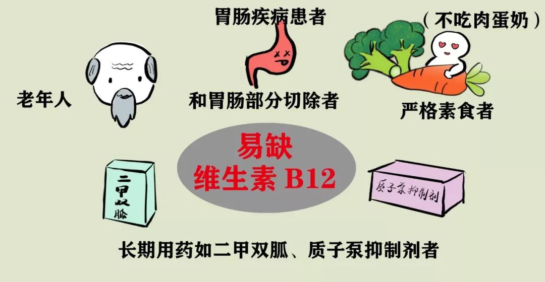 缺乏维生素b12易得老年痴呆？不止……