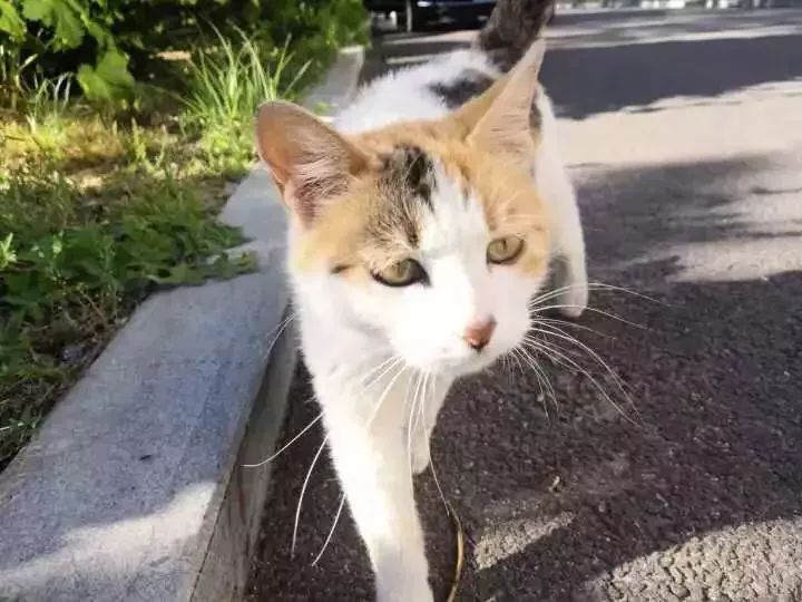 003d637c01e847abbebe8de70a109677.jpeg