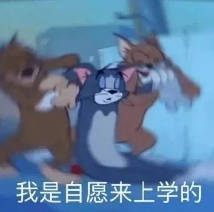 沙雕表情包 | 假如我年少不自卑 妹妹肯定一大堆