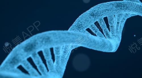 怎么快速恢复嗅神经 116f8c8423f3452eab77a059f1ef59d4.jpeg