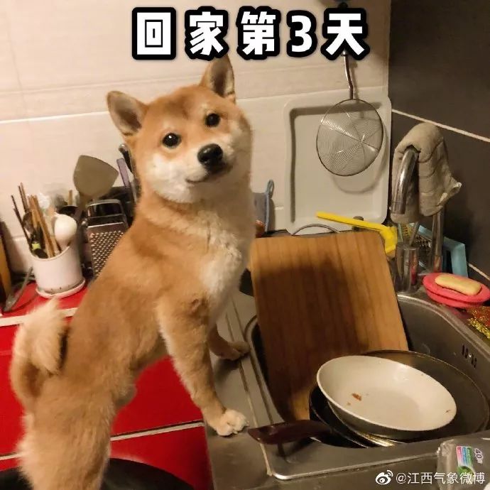 1290fa1c3c0b4b30a1145671c9fa4ac8.jpeg