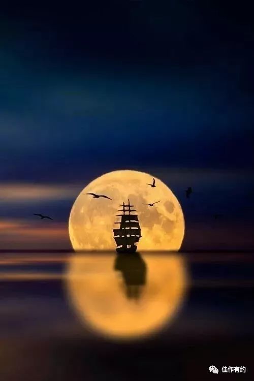 天涯共此时的作者是谁 13fc30af0573428baff48cf8c5ab395a.jpeg