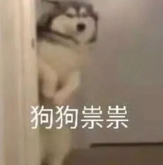 沙雕表情包 | 假如我年少不自卑 妹妹肯定一大堆