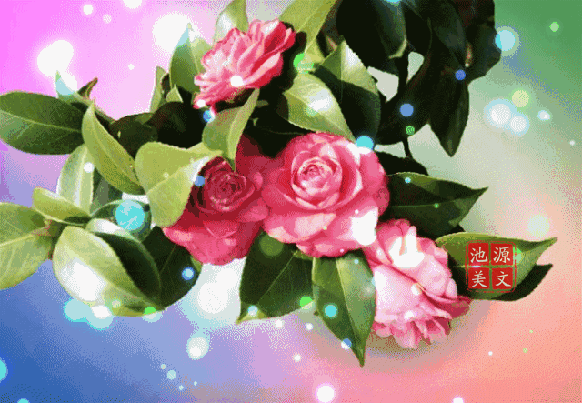 壁纸 花 桌面 640_443 gif 动态图 动图