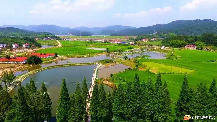 奋进岳阳华容作家蔡勋建眼里的新农村