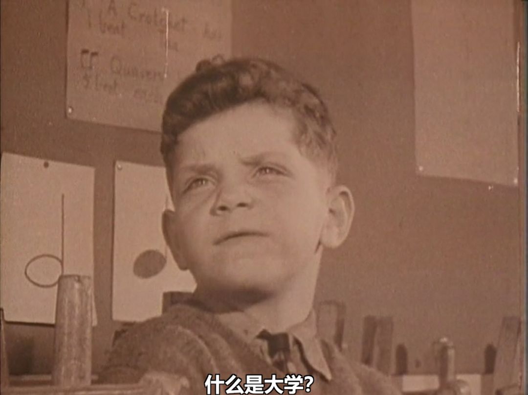 【人性大片】BBC跟拍55年的人性大片,打了太