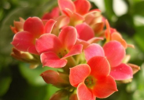 多少岁开始老花了 2eed97e828c8447eb24c77724de9550d.jpeg