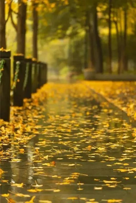 30ac1675c2cf41c784acf464ff7d04ba.jpeg