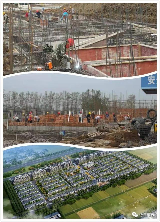 东园村人口_灌云县南岗乡东园村