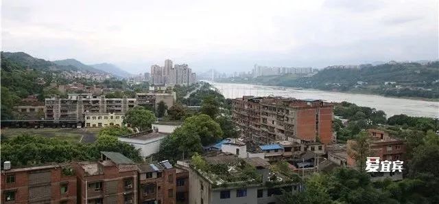 柏溪人口_宜宾柏溪玉龙花海(2)