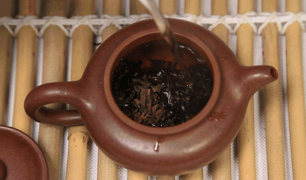 3adbbf7fff9547ee98ac9881782b7a92.gif