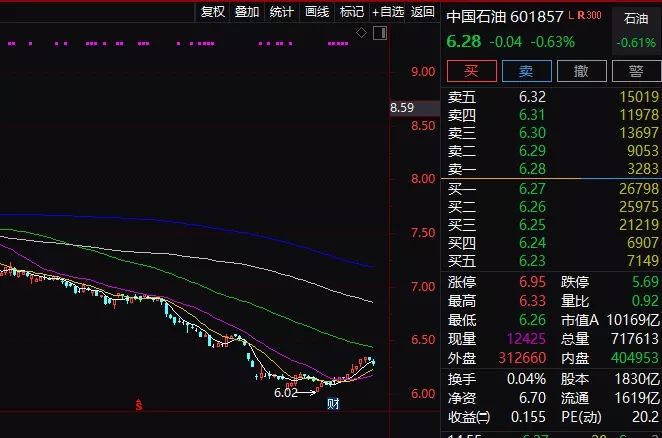 鹅国多少人口_大鹅羽绒服充绒量多少(2)