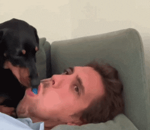 原创当狗子想玩耍,铲屎官却想睡觉时,千万不要打哈欠