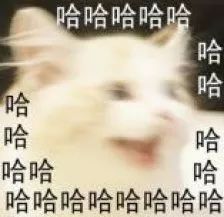 5444586d4f34483ca39fcdb6bc9d843d.jpeg